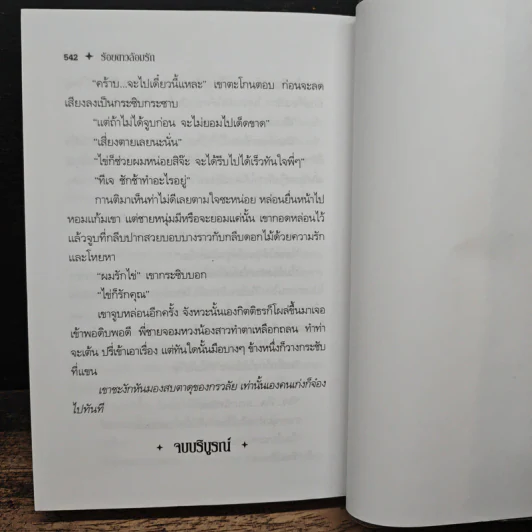 ร้อยดาวล้อมรัก - ไอริณ รูปที่ 7
