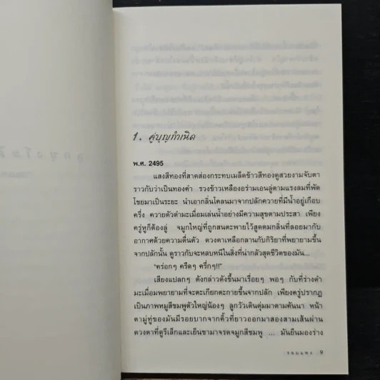ลูกทุ่งโมดิฟายด์ - รอมแพง รูปที่ 7