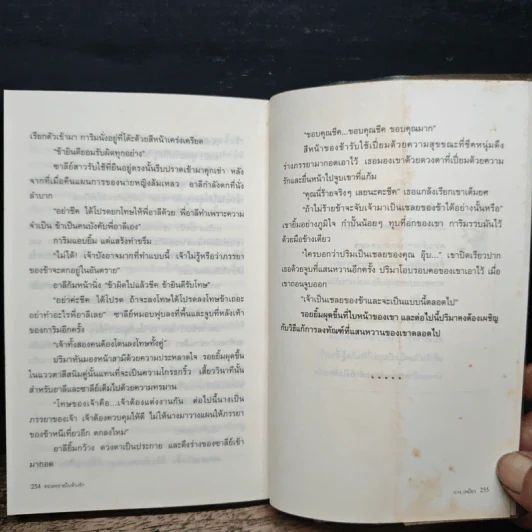ทะเลทรายในห้วงรัก - ถาง_เหมียว รูปที่ 8