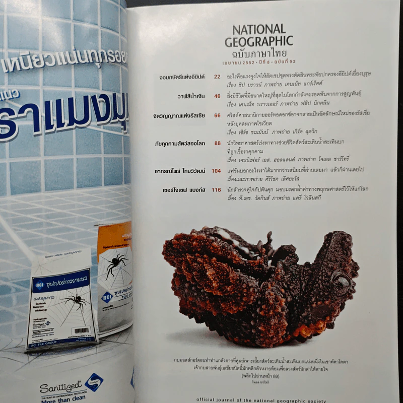 National Geographic ฉบับที่ 93 เม.ย. 2552 ฮัตเชปชุต รูปที่ 7