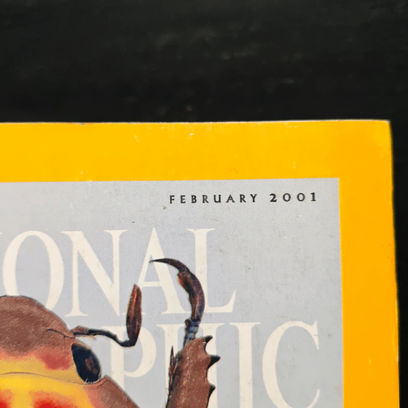 NATIONAL GEOGRAPHIC February 2001 รูปที่ 6
