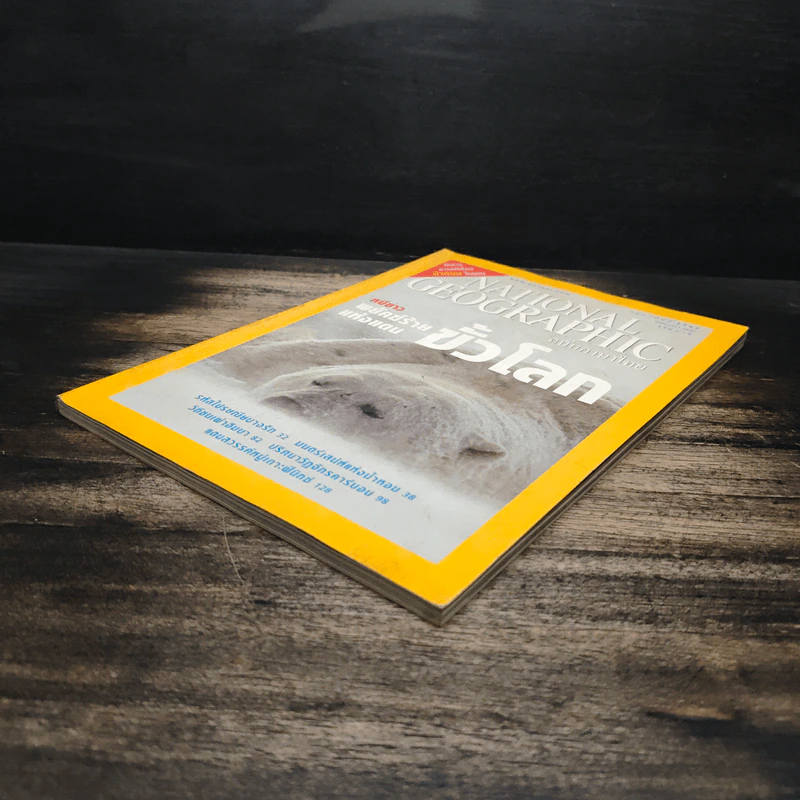 National Geographic ก.พ.2547 หมีขาวพยัคฆ์ร้ายแห่งแดนขั้วโลก รูปที่ 4