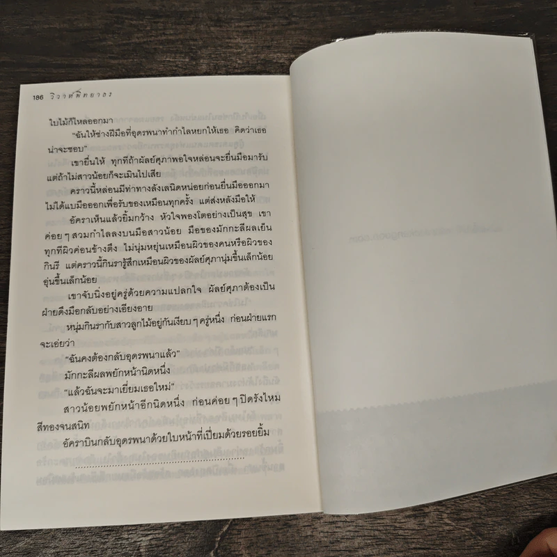 วิวาห์พิทยาธร - อลินา รูปที่ 9