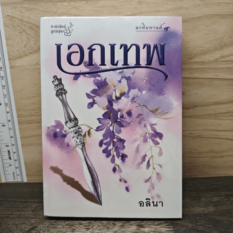 เอกเทพ - อลินา รูปที่ 1