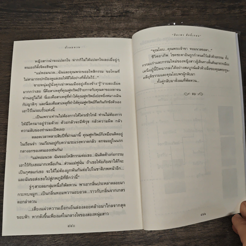 ดั่งลมหวน - ปิยะพร ศักดิ์เกษม รูปที่ 9