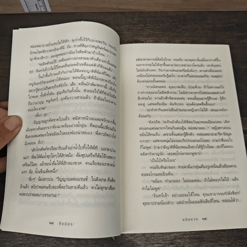 คลื่นลวง - กิ่งฉัตร รูปที่ 8