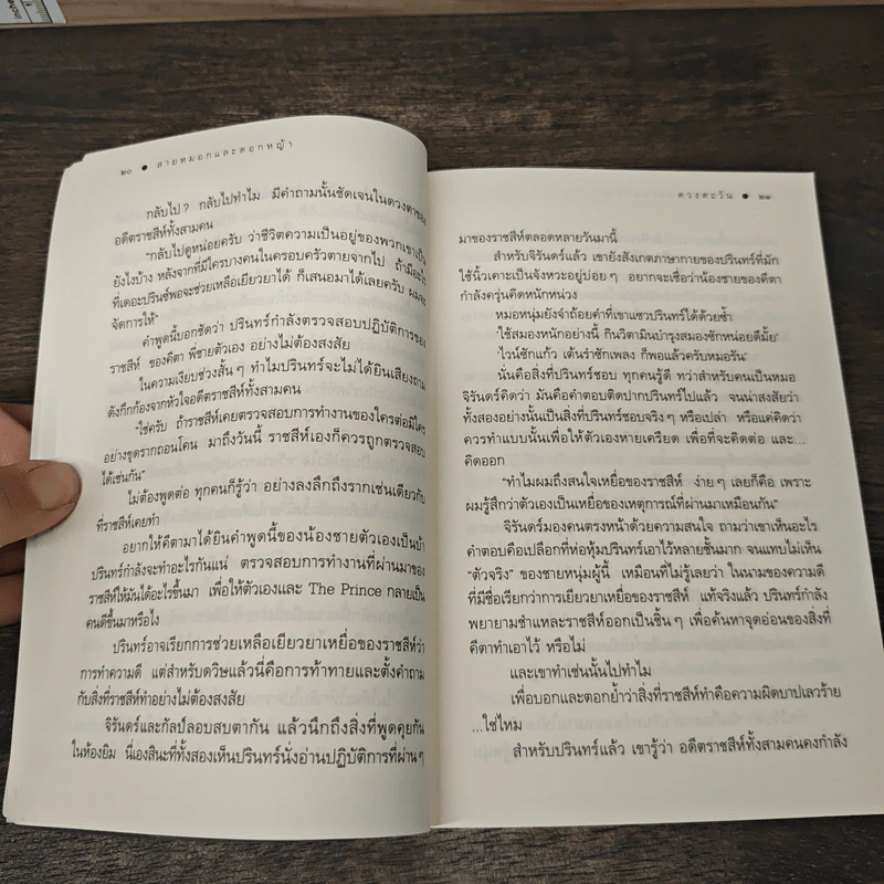 สายหมอกและดอกหญ้า - ดวงตะวัน รูปที่ 8