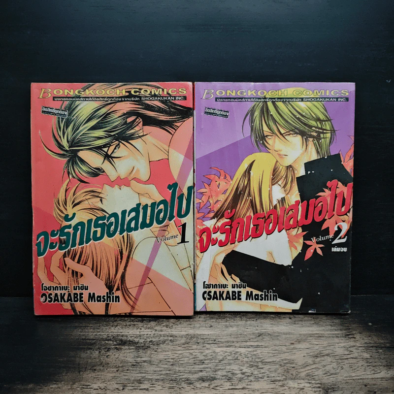 จะรักเธอเสมอไป 2 เล่มจบ - Osakabe Mashin รูปที่ 1