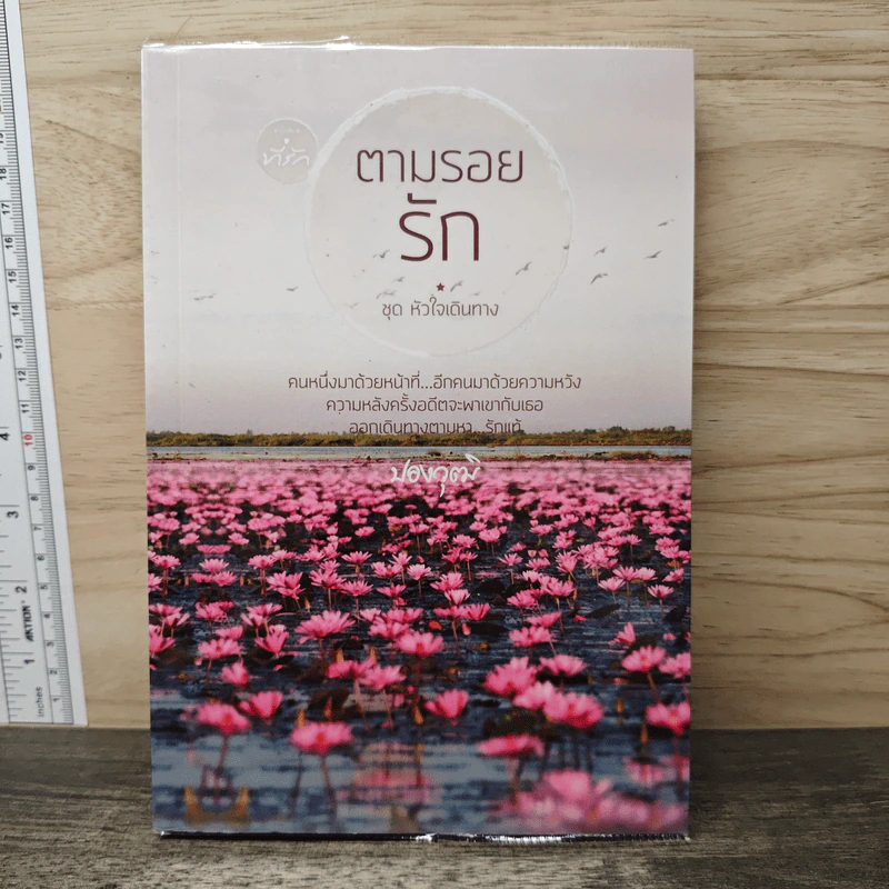 ตามรอยรัก - ปองวุฒิ รูปที่ 1