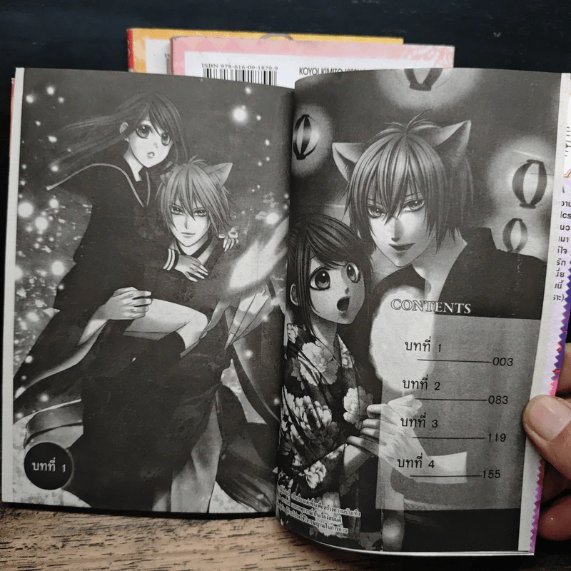 เจ้าสาวตัวน้อยของนายจิ้งจอก 3 เล่มจบ - Saki Aikawa รูปที่ 7