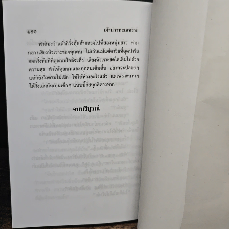 เจ้าบ่าวทะเลทราย - ไอริณ รูปที่ 8
