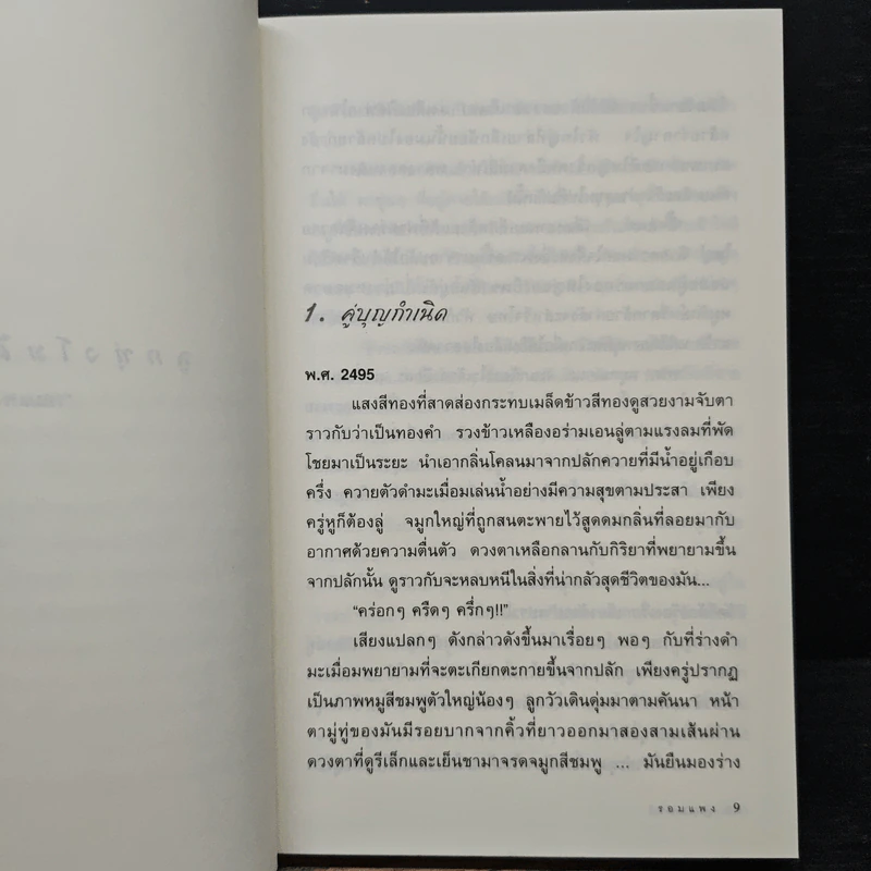 ลูกทุ่งโมดิฟายด์ - รอมแพง รูปที่ 7