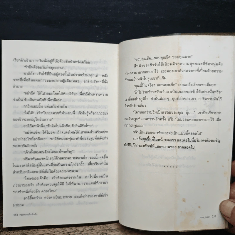 ทะเลทรายในห้วงรัก - ถาง_เหมียว รูปที่ 8