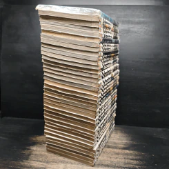 Vagabond เล่ม 1-37 รูปที่ 4