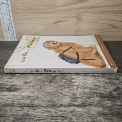 ผมชื่อคิงคองคร้าบ เล่ม 1 - วัสชนะ พรหมประสิทธิ์ รูปที่ 2