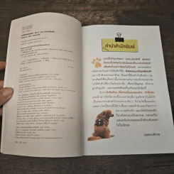 ผมชื่อคิงคองคร้าบ เล่ม 5 ตอน คิงคองแฟนคลับ - วัสชนะ พรหมประสิทธิ์ รูปที่ 6