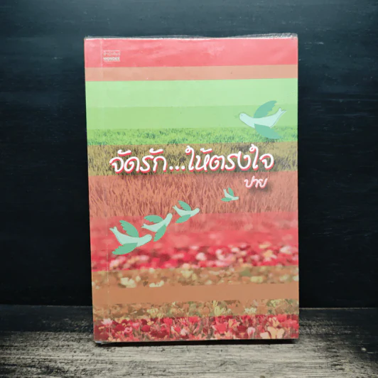 จัดรัก...ให้ตรงใจ - ปาย รูปที่ 1
