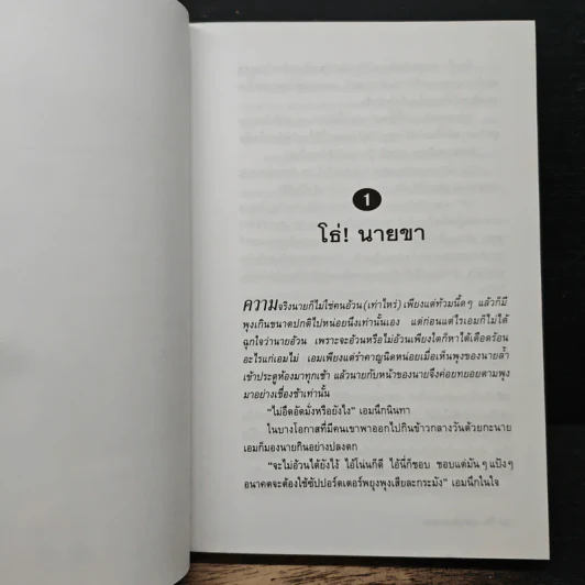 เลขานินทานาย - มนันยา รูปที่ 7