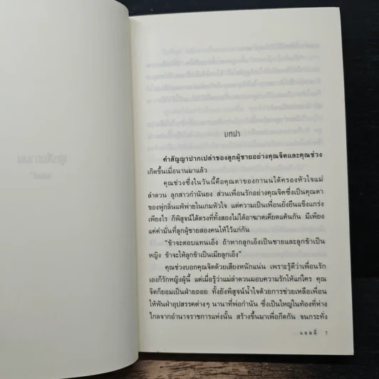 พู่กลิ่นกานน - แอลลี่ รูปที่ 7