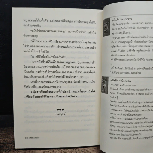 ไฟล้อมตะวัน - มณชยาภา รูปที่ 8