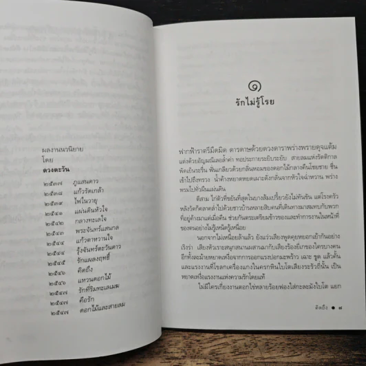 คิดถึง - ดวงตะวัน รูปที่ 7