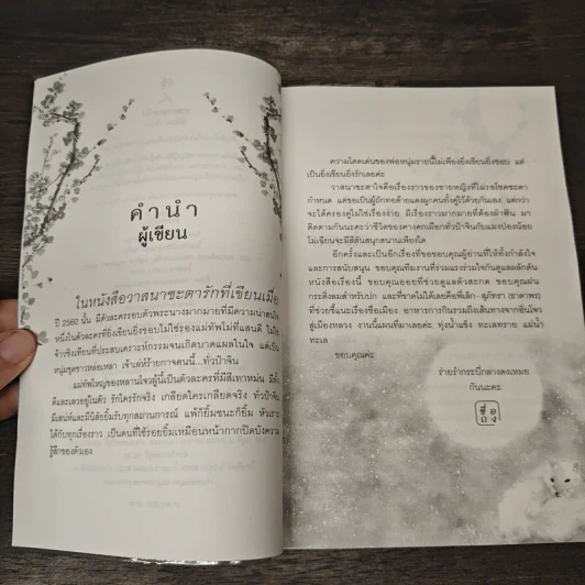 วาสนาชะตาใจ - ชื่อถง รูปที่ 8