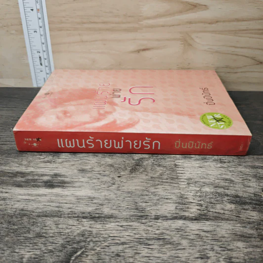 แผนร้ายพ่ายรัก - ปิ่นปินัทธ์ รูปที่ 2