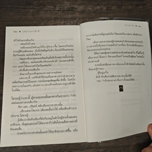 กุหลาบลายสิงห์ - ดวงตะวัน รูปที่ 9
