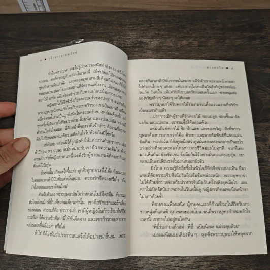 เจ้าสาวลายพยัคฆ์ - ดวงตะวัน รูปที่ 8