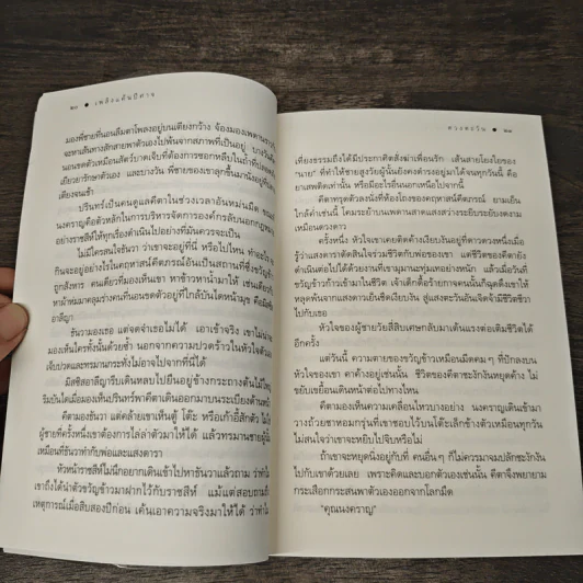 เพลิงแค้นปีศาจ - ดวงตะวัน รูปที่ 8