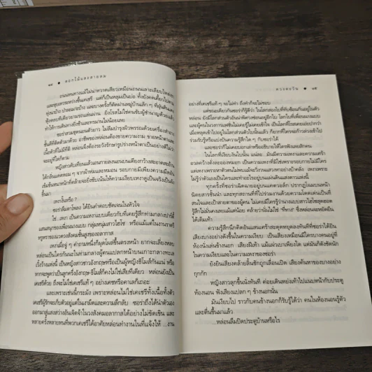 ดอกไม้และสายลม - ดวงตะวัน รูปที่ 8