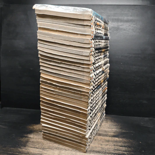 Vagabond เล่ม 1-37 รูปที่ 4