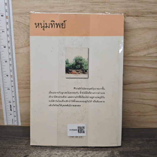 หนุ่มทิพย์ - แก้วเก้า รูปที่ 5
