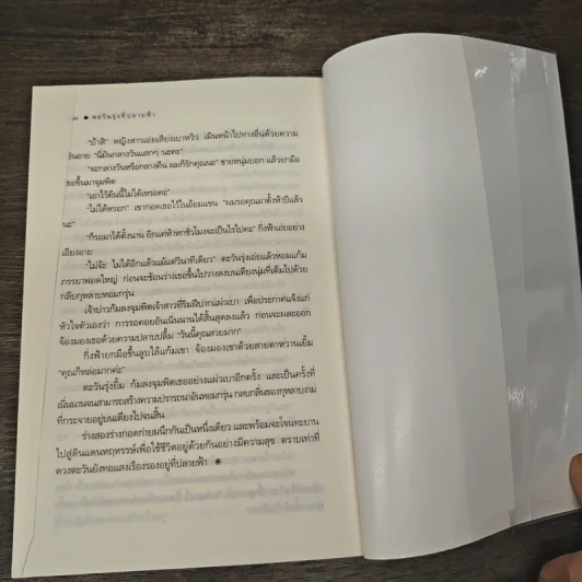 ตะวันรุ่งที่ปลายฟ้า - ซ่อนกลิ่น รูปที่ 9