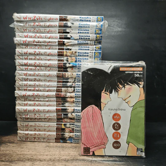 Kimi ni Todoke ฝากใจไปถึงเธอ 30 เล่มจบ - Karuho Shiina รูปที่ 5
