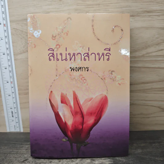 สิเน่หาส่าหรี - พงศกร รูปที่ 1