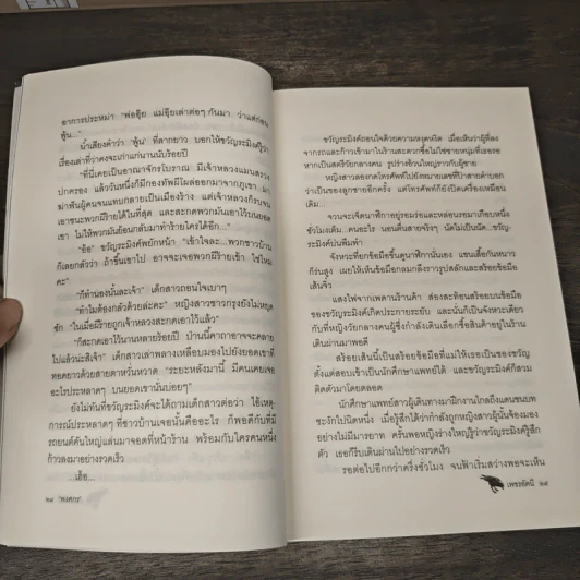 เพชรอัคนี - พงศกร รูปที่ 8