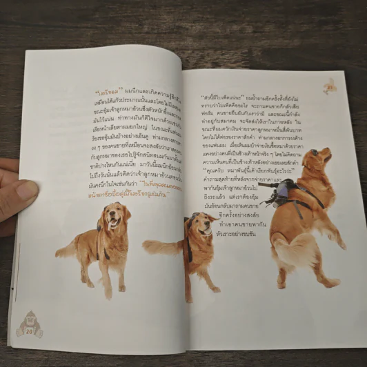 ผมชื่อคิงคองคร้าบ เล่ม 1 - วัสชนะ พรหมประสิทธิ์ รูปที่ 8