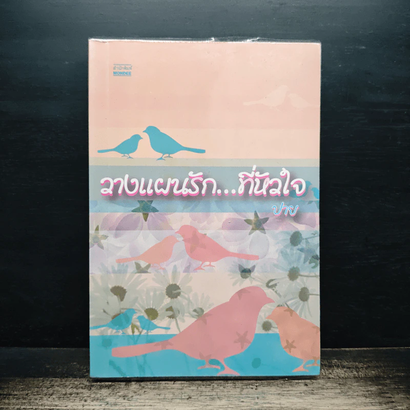 วางแผนรัก...ที่หัวใจ - ปาย รูปที่ 1