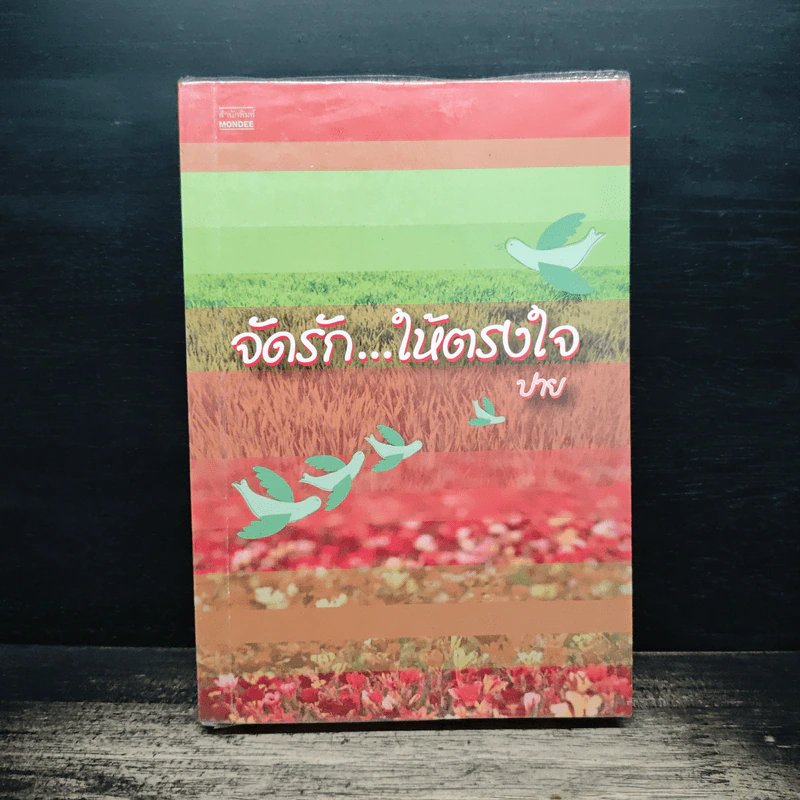 จัดรัก...ให้ตรงใจ - ปาย รูปที่ 1