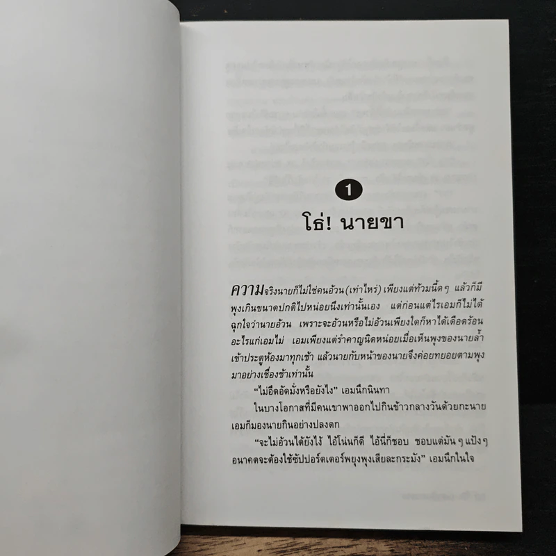 เลขานินทานาย - มนันยา รูปที่ 7