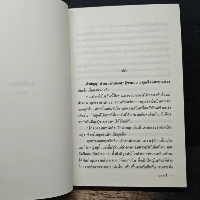 พู่กลิ่นกานน - แอลลี่ รูปที่ 7