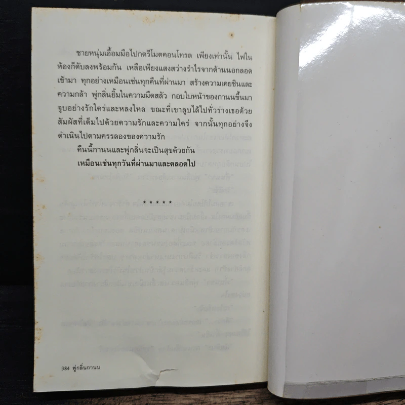 พู่กลิ่นกานน - แอลลี่ รูปที่ 8