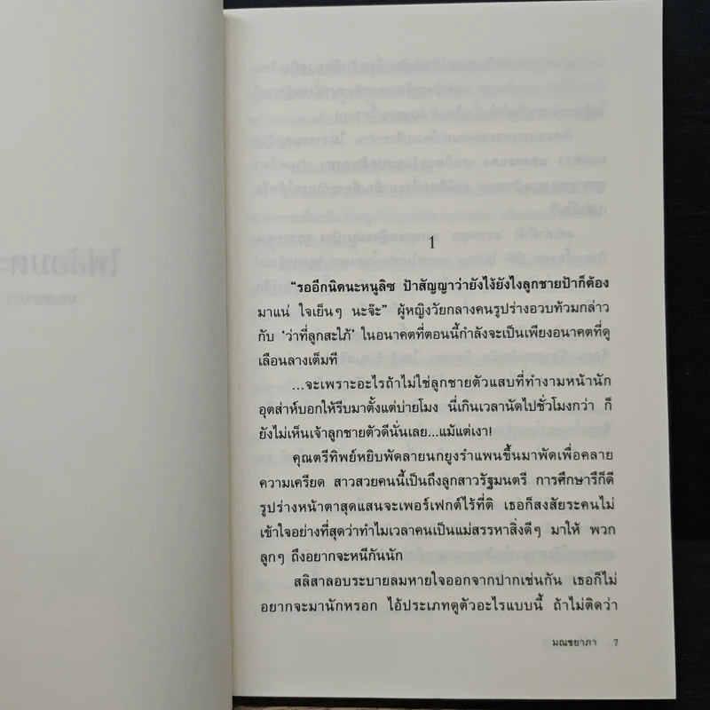 ไฟล้อมตะวัน - มณชยาภา รูปที่ 7
