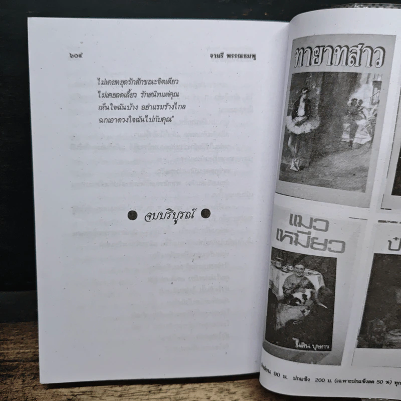 ไม่เคยหยุดรักสักขณะจิตเดียว - จามรี รูปที่ 8