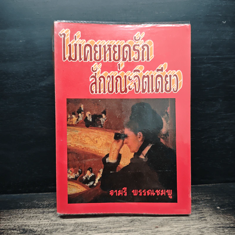 ไม่เคยหยุดรักสักขณะจิตเดียว - จามรี รูปที่ 1
