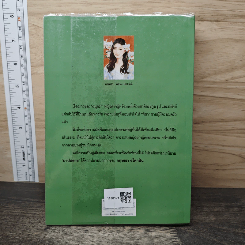 บาปสลาย - กฤษณา อโศกสิน รูปที่ 5