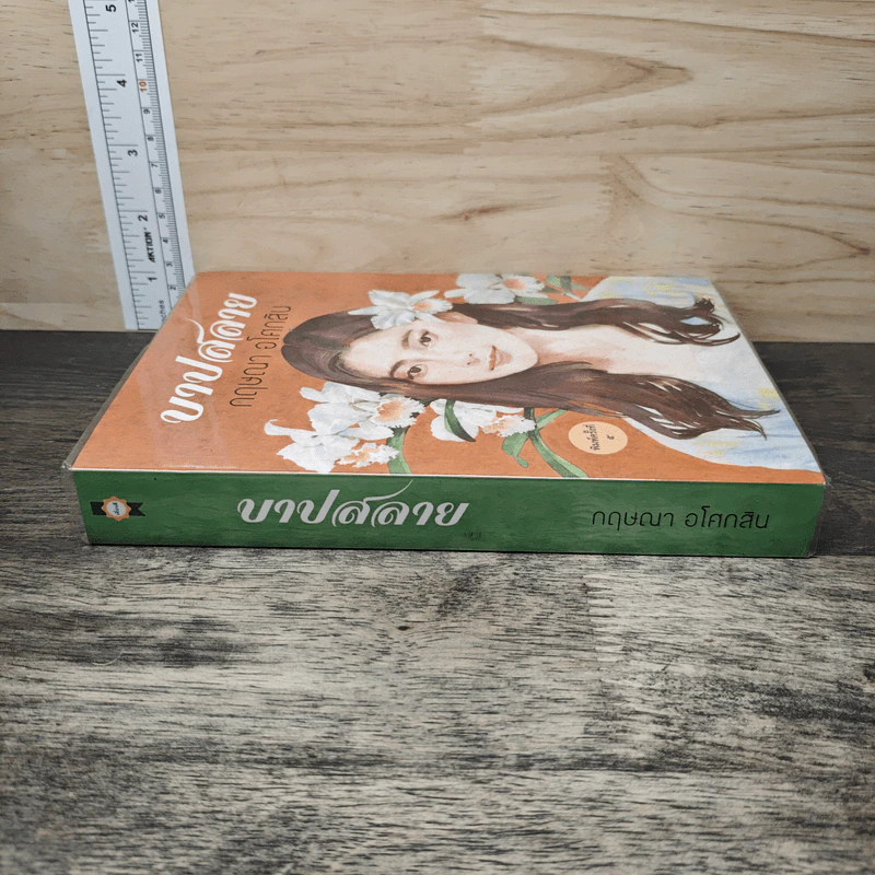 บาปสลาย - กฤษณา อโศกสิน รูปที่ 2