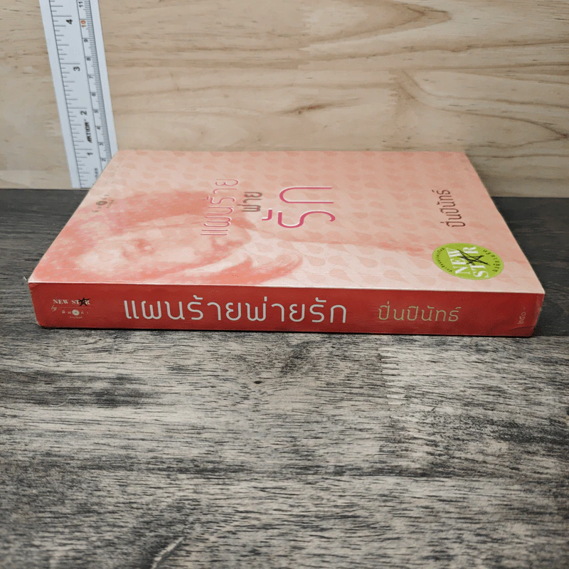 แผนร้ายพ่ายรัก - ปิ่นปินัทธ์ รูปที่ 2
