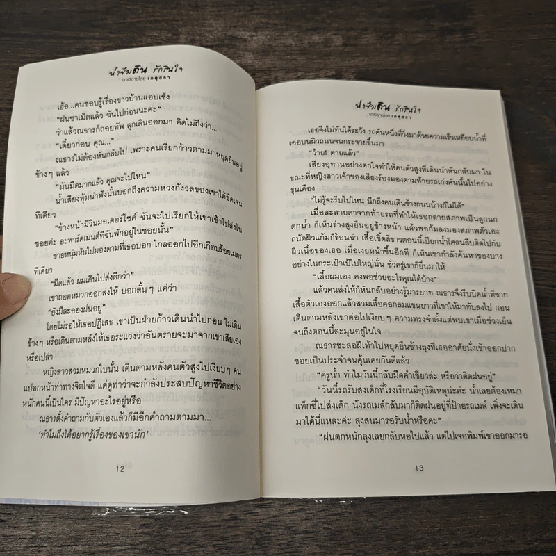 น้ำซึมดิน รักรินใจ - เกตุสรา รูปที่ 8